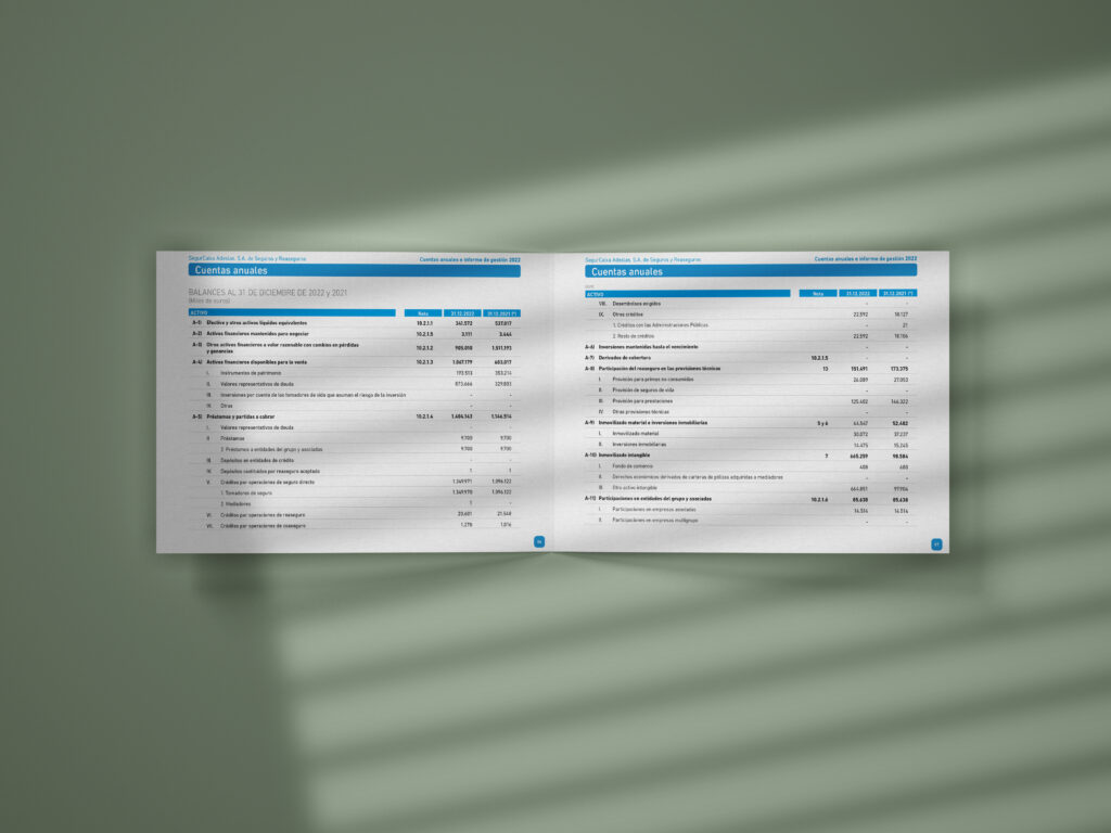 Cuentas anuales e informe de gestión de Segurcaixa Adeslas