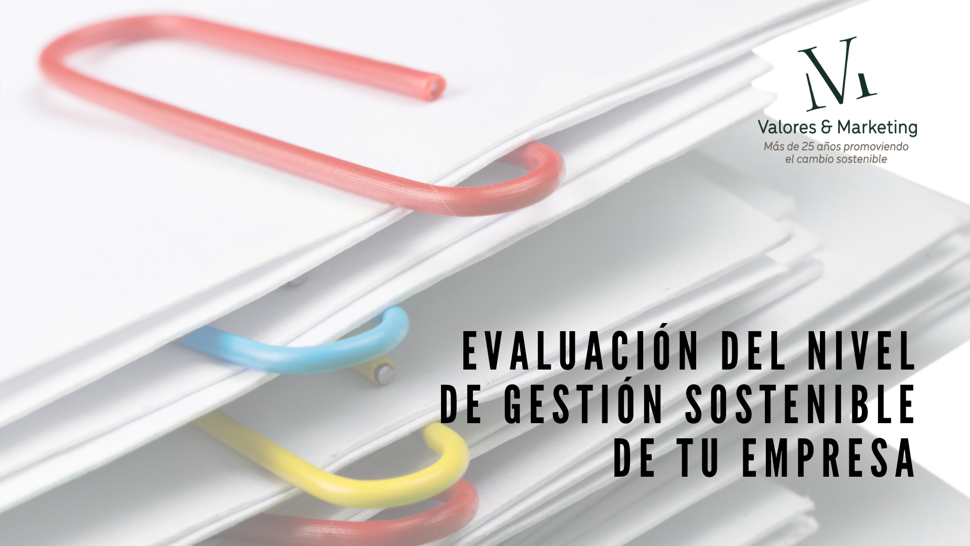 miniatura del curso
